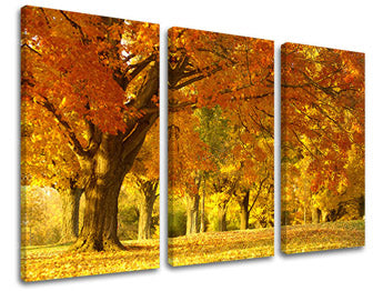 3dílná nástěnná malba STROMY ST022E30