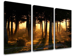 3dílná nástěnná malba STROMY ST025E30