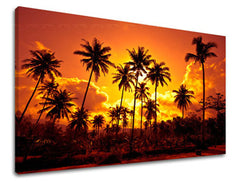 Nástěnná malba WEST WEST SLNKA ZS019E11