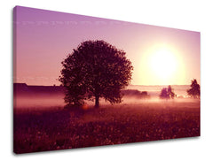 Nástěnná malba WEST WEST SLNKA ZS020E11