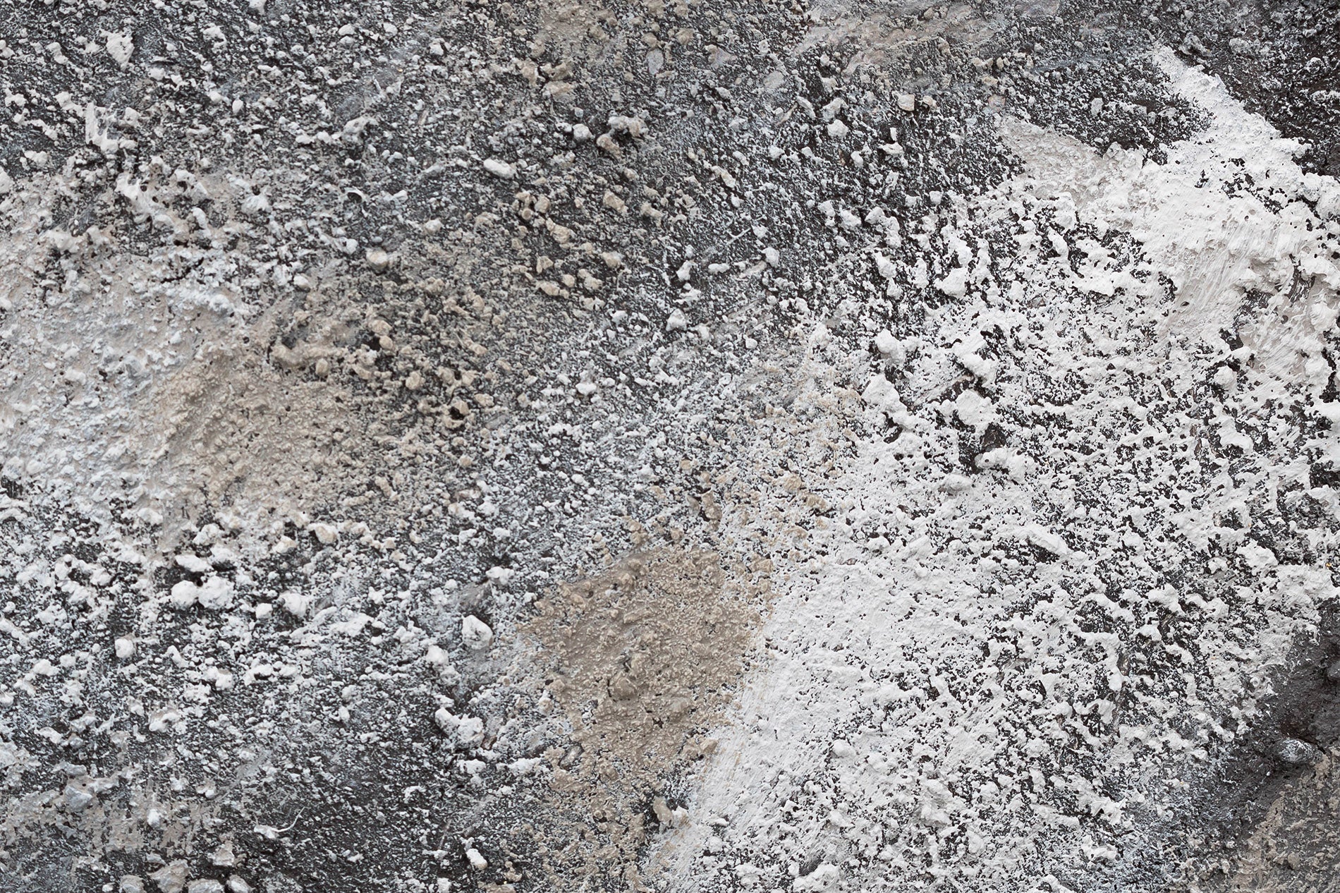 Detailní pohled na texturu a kompozici ručně malovaného plátna s hlavou slona, zdůrazňující jeho šedobílé odstíny, Papilora.