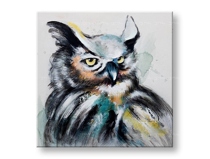 Malovaný nástěnný obraz Sova 1 díl 60x60 cm CWF1279HE1
