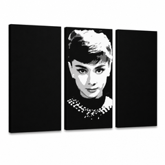 Ručně malovaný obraz na plátně zobrazuje černobílý portrét Audrey Hepburn s viditelným dřevěným rámem, Papilora.