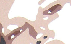 Detailní náhled kompozice obrazu s motivem ženy v pop-art stylu Papilora.